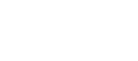 Culture Ireland Logo