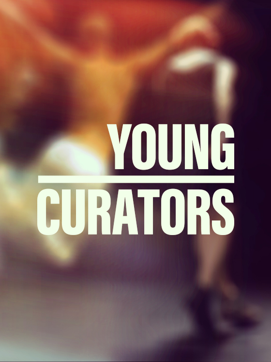 Young Curators Project