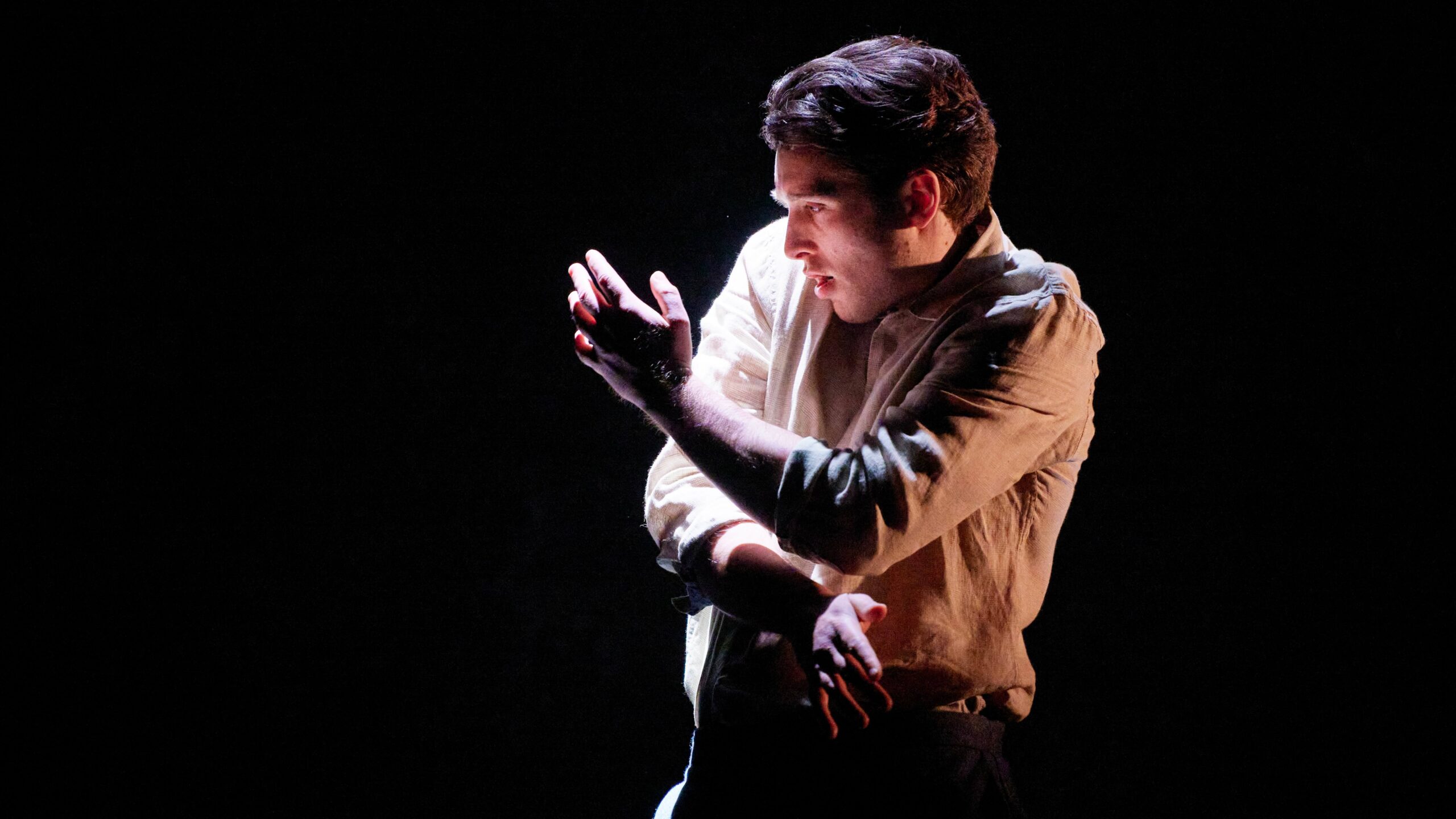 Frank McGuinness In Conversation